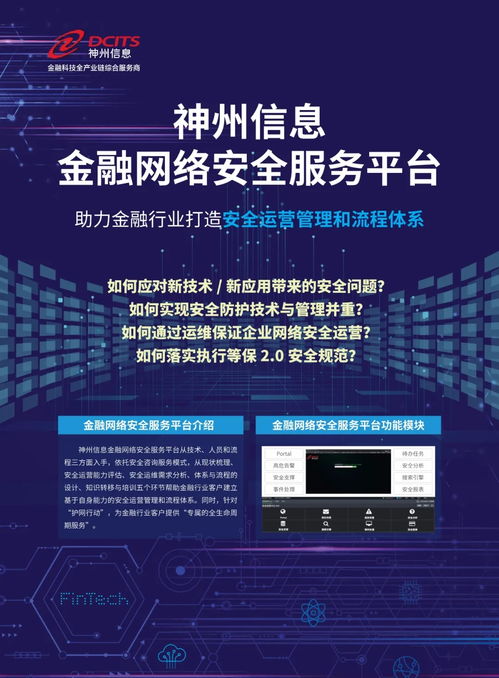 神州信息金融网络安全服务平台技术咨询