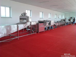 家用全自动洗碗机选购全攻略 关键要点与避坑指南