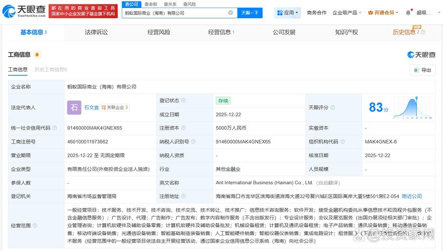 代表人为石文宜,注册资本5000万人民币,经营范围包括信息技术咨询服务